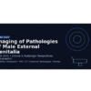 ARRS  Imaging of Pathologies of Male External Genitalia 2025