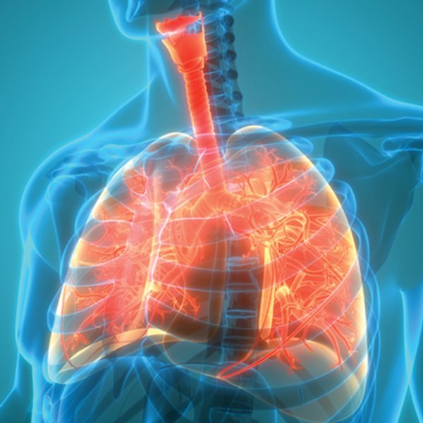 The Brigham Board Review and Comprehensive Update in Pulmonary Medicine 2025 (Videos + Slides)