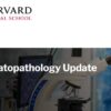 Harvard Dermatopathology Update 2024