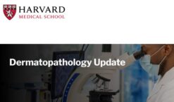 Harvard Dermatopathology Update 2024