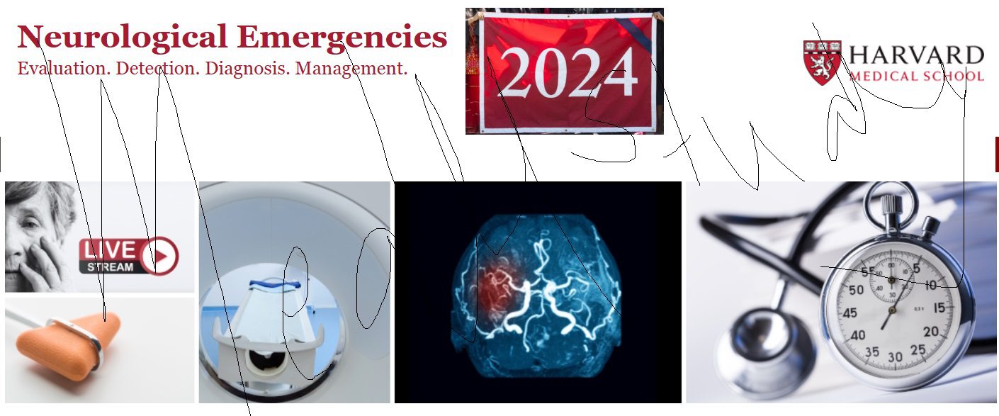 Harvard Neurological Emergencies 2024 (Videos+PDF )